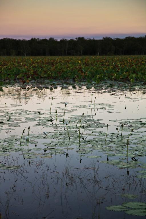 ホテル Aurora Kakadu エクステリア 写真