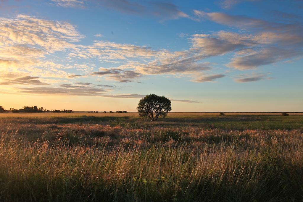 ホテル Aurora Kakadu エクステリア 写真