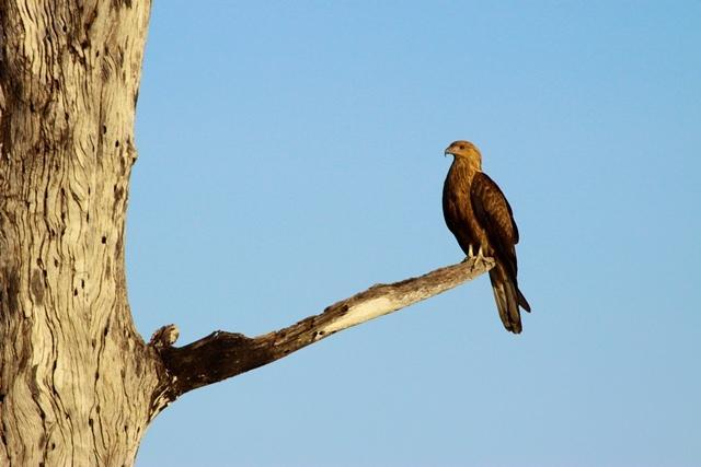 ホテル Aurora Kakadu エクステリア 写真