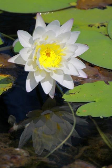 ホテル Aurora Kakadu エクステリア 写真
